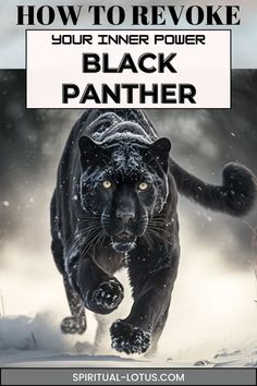 a black panther running through the snow with text overlay that reads how to revoke your inner power black panther