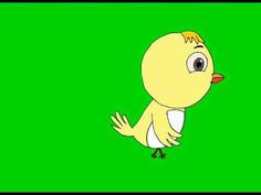 a yellow bird is standing in front of a green screen