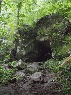 a large rock formation in the middle of a forest