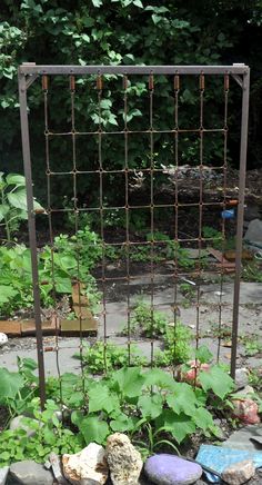 a garden with rocks and plants growing in the ground next to a metal trellis