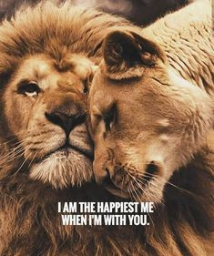 two lions cuddling each other with the caption, i am the happest me when i'm with you