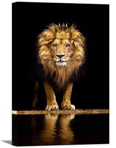 a lion standing in the dark with its head turned to look like it is looking at something