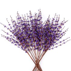 a bunch of purple flowers sitting on top of a white table