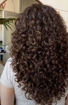 Layers On Brunette Hair, Chocolate Brown Short Curly Hair, Non Frizzy Curly Hair, Curly Hairstyles With Short Hair, Chestnut Brown Highlights Curly Hair, Waist Length Curly Hair Natural, Perm Curl Sizes, Hazelnut Brown Curly Hair, Curly Brown Hair Styles