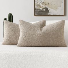 two pillows sitting on top of a white couch next to a cacti plant