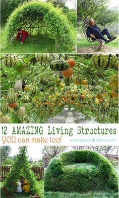 several pictures of different types of plants in the garden with text that reads 12 amazing living structures you can make too