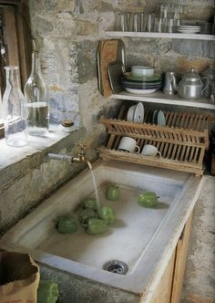 a kitchen sink filled with lots of green peppers