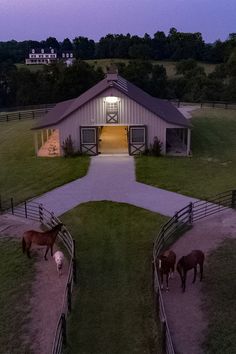 three horses are standing in the grass near a barn at night with their lights on