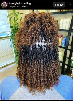 Trendy Twist Hairstyles, Afro Kinking Hair Styles, Temporary Microlocs, Goddess Mini Twists, Lock Twist Hairstyles, Micro Twists Styles, Afro Twist Hairstyles Short Natural Hair, Twist For Short Natural Hair, Colored Micro Locs