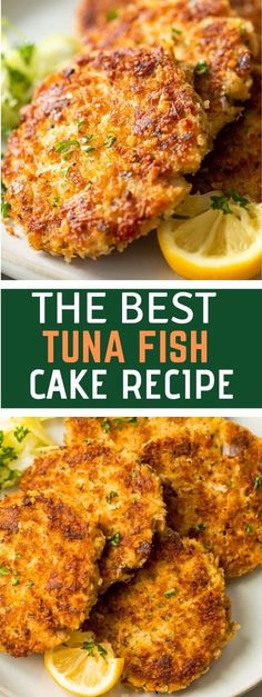 the best tuna fish cake recipe