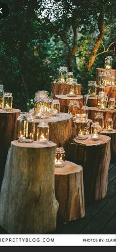 candles are lit on wooden logs in the woods