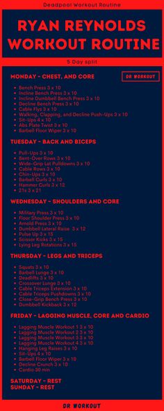 Ryan Reynolds Workout Routine Daily Routine Men, Ryan Reynolds Body, Weekly Workout Plans For Men, Ryan Reynolds Workout, Marvel Workout Plan, Anytime Fitness Workout, Golds Gym Workout Routine, Chris Hemsworth Workout Routine, Superhero Workout Routine