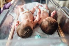 two babies are laying down in a glass enclosure