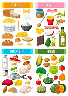 Os quatro principais grupos de alimentos | Premium Vector #Freepik #vector #carbs #vegetais-desenho #letras-desenhadas #frutas-desenho Healthy Plate Drawing, Go Grow And Glow Foods Worksheet, Food Groups For Kids, 5 Food Groups, Food Pyramid Kids, Food Lessons