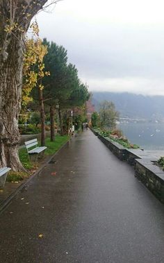 an empty walkway next to the water with benches on either side and trees lining both sides