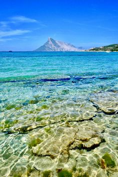 the water is crystal clear and blue