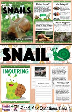 an image of snails inquiring with the text, and pictures below it