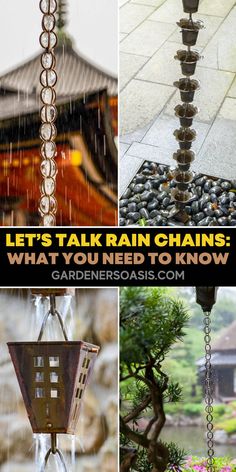 What Is A Rain Chain? And How Does It Work? Pictures Of Rain, Rain Chain Garden, Perennial Ground Cover, Rain Chains, House To Home, Full Sun Plants, Perennial Shrubs, Rain Chain