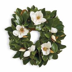 Magnolia Wreath | Frontgate Cotton Wreaths, Living Wreath, Magnolia Leaf, Door Hangings, Painted Door, Hydrangea Not Blooming, Magnolia Wreath, Magnolia Blossom, Pinecone Wreath