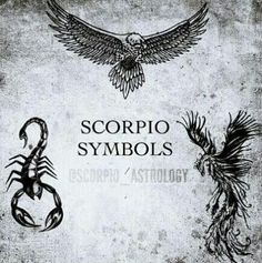 scorpio symbols - scorpion astrology cd album cover art print poster