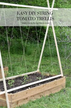 an easy diy string tomato trellis is the perfect place to grow tomatoes and other vegetables