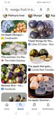 an iphone screen showing the different types of fruits