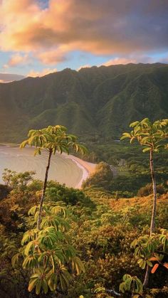 the sun is setting over a tropical beach and mountain range with palm trees in the foreground