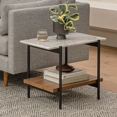 a table with books and a plant on it in front of a gray couch next to a coffee table