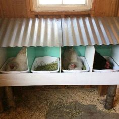 three gerbils are sitting in small bins under a metal roof on a bench