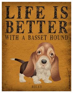 a brown and white dog with the words life is better with a basset hound