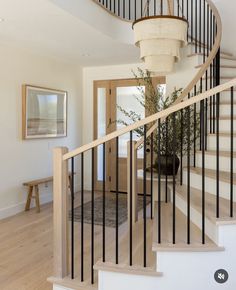 a spiral staircase in a home with white walls and wood flooring, along with a potted plant on the far end