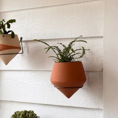 three hanging planters on the side of a white wall with plants in them and one potted plant