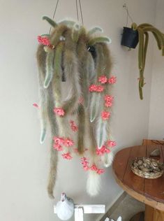 some plants hanging from the wall with pink flowers on them and other things in the background