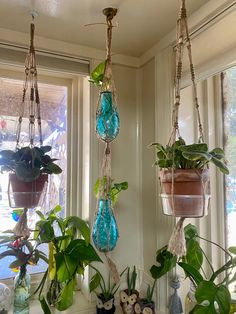 three hanging planters filled with plants in front of a window sill next to a potted plant