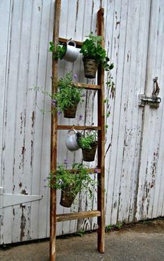 an old wooden ladder with potted plants on it