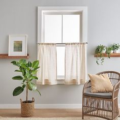 a living room with a chair, potted plant and window