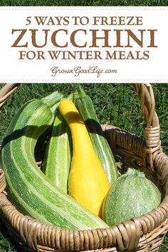 zucchini for winter meals in a basket on the grass with text overlay