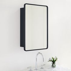 a bathroom sink with a mirror above it and a plant in the corner next to it