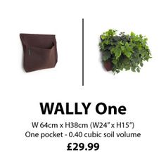 an advertisement for the wally one planter, which is available in various sizes and colors