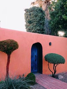 an orange wall with blue door and two small trees in the front yard, surrounded by shrubbery