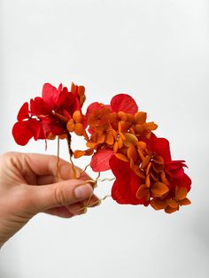 Dried flower hair pin made with real preserved Hydrangea flowers in Red and Terracotta colors. Price is for 1 hair pin! Size approx. 5 x 12 cm. PROCESSING TIME : 1-3 business days IMPORTANT DELIVERY INFORMATION: All parcels to United States will be delivered via USPS - 7-10 business days, parcels within EUROPEAN UNION (incl. UK, Switzerland, Norway) will be delivered via UPS standard service - 5-10 business days (+ phone number is required for the courier), Parcels to Canada, Australia and other countries will be shipped via Standard Airmail and shipping time takes longer - 3-5 weeks. Please make sure you read this information! Terracotta Hair, Hair Clips Bridal, Boho Hair Accessories, Floral Hair Piece, Preserved Hydrangea, Flower Hair Pins, Floral Hair Pieces, Boho Hair, Hair Accessories Boho