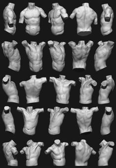 an image of male torsos in various poses