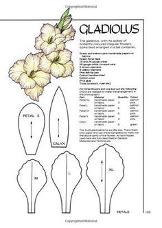 the diagram shows how to make gladiolus flowers with their leaves and petals, which are