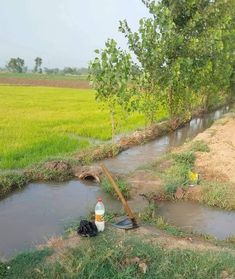 a small stream running through a lush green field