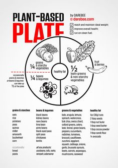 the plant based plate is labeled in red