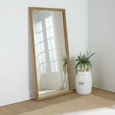 a large mirror sitting on top of a wooden floor next to a potted plant