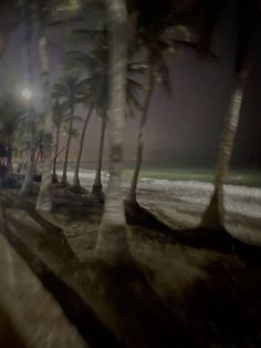 a blurry photo of palm trees on the beach at night with street lights in the background