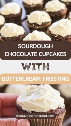 Sourdough Chocolate Cupcakes With Buttercream Frosting Chocolate Cupcakes With Buttercream, Cupcakes With Buttercream Frosting, Healthy Chocolate Desserts, Cupcakes With Buttercream, Buttercream Frosting For Cupcakes, Raspberry Ice Cream, Cupcake Recipes Chocolate, Strawberry Cakes, Sourdough Recipes