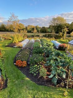 the garden is full of vegetables and plants