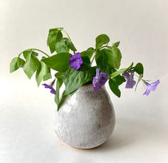 a white vase filled with purple flowers on top of a table